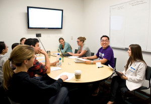 Photograph 1. An interprofessional small group meeting from IPE Phase I.